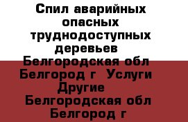 Спил аварийных опасных труднодоступных деревьев - Белгородская обл., Белгород г. Услуги » Другие   . Белгородская обл.,Белгород г.